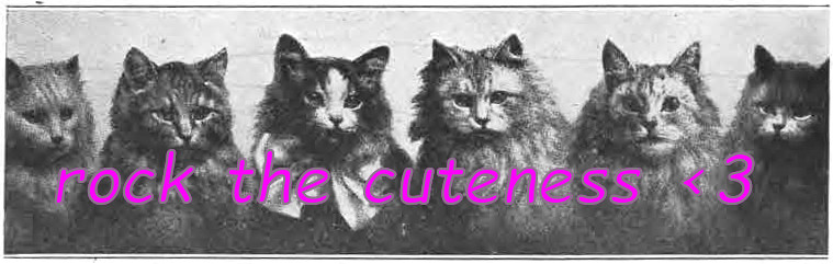 Cute cats in row, overlayed with the text rock the cuteness heart emoji